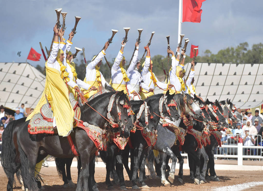 Lisa Abraham: The 2017 Salon du Cheval D'El Jadida: Tbourida!