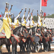Lisa Abraham: The 2017 Salon du Cheval D'El Jadida: Tbourida!