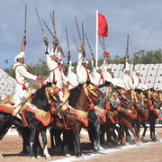 Lisa Abraham: The 2017 Salon du Cheval D'El Jadida: Tbourida!