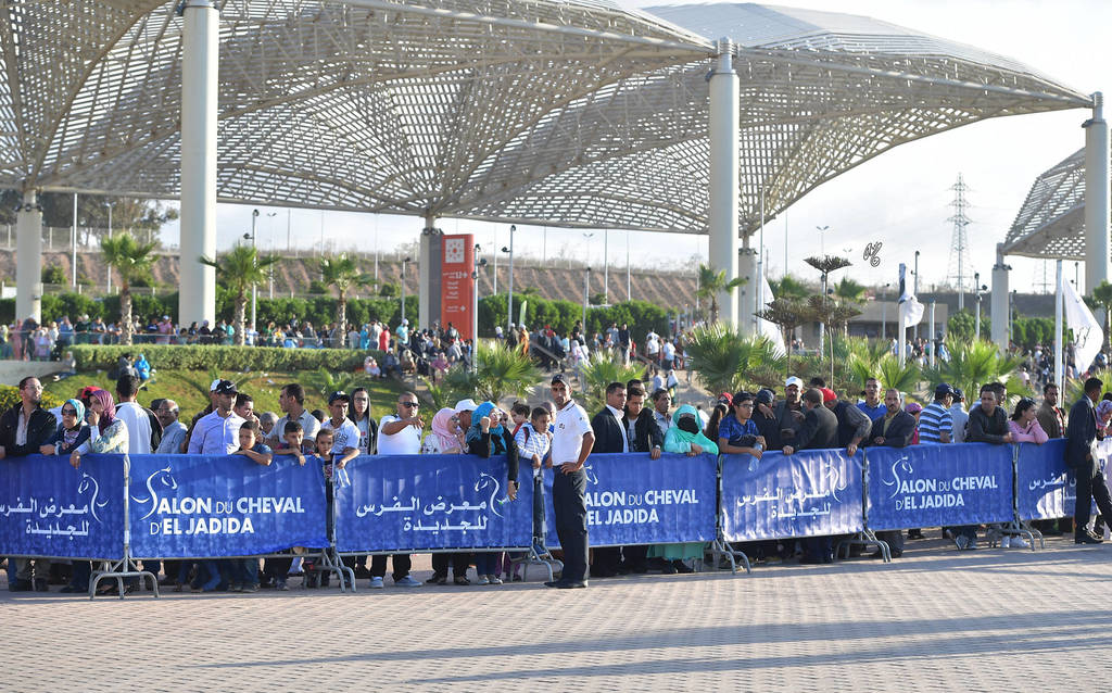 Lisa Abraham: The 2017 Salon du Cheval D'El Jadida: Tbourida!