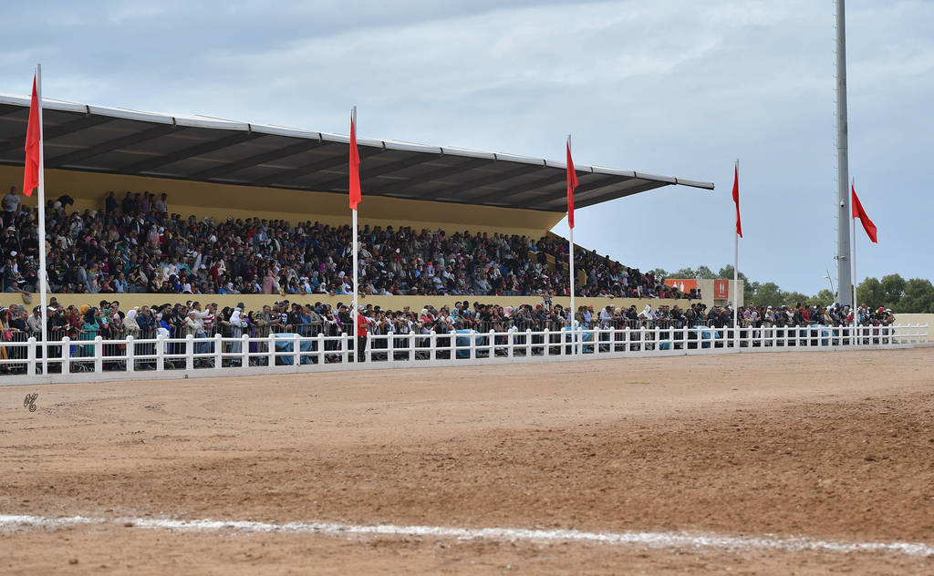 Lisa Abraham: The 2017 Salon du Cheval D'El Jadida: Tbourida!