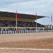 Lisa Abraham: The 2017 Salon du Cheval D'El Jadida: Tbourida!