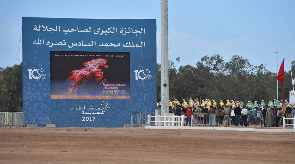 Lisa Abraham: The 2017 Salon du Cheval D'El Jadida: Tbourida!