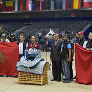 Senior Stallion Gold Champion: TS Apolo (TS Don Brave X Fairness FHP) 