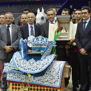 Senior Stallion Gold Champion: TS Apolo (TS Don Brave X Fairness FHP)   