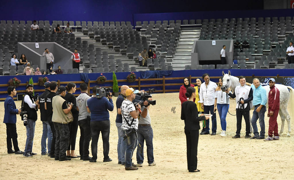 Senior Mare Gold Champion: Volodia De Lafon (Shanghai EA X Vassila)    