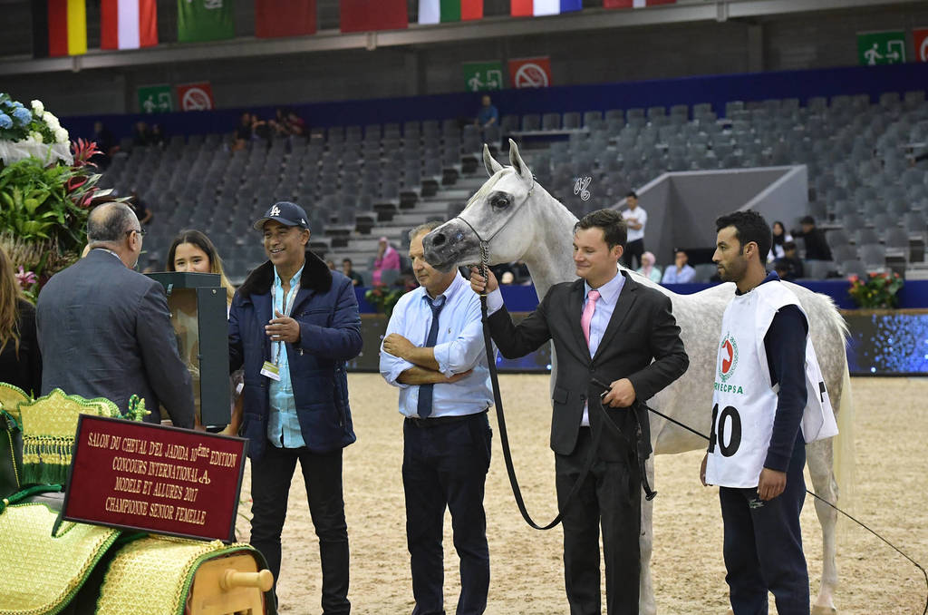Senior Mare Gold Champion: Volodia De Lafon (Shanghai EA X Vassila)     