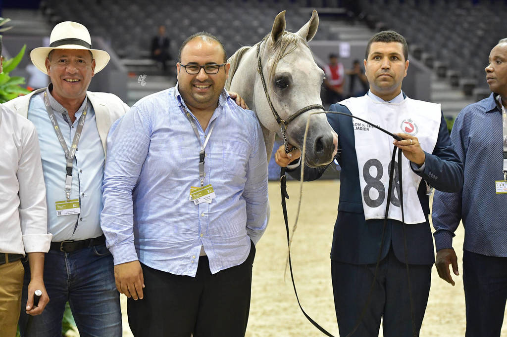 Colt Bronze Champion: Espressivo MAMS (Zahran Albidayer X Rihanna-CP)   