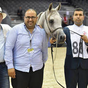 Colt Bronze Champion: Espressivo MAMS (Zahran Albidayer X Rihanna-CP)   