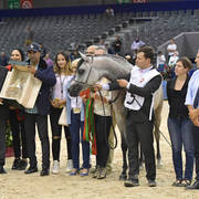 Filly Gold Champion: Poesie TI (Kanz Albidayer X Pellissima)   