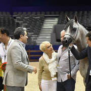Filly Gold Champion: Poesie TI (Kanz Albidayer X Pellissima)   