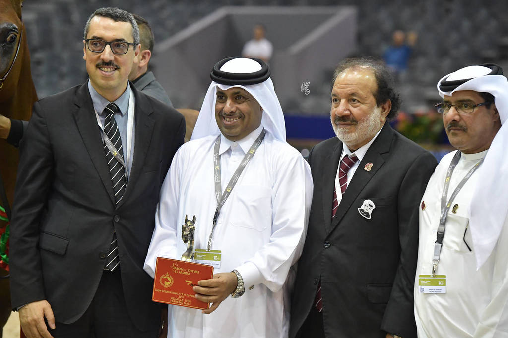 Yearling Colt Gold Champion: Hagras Al Shaqab (Fadi Al Shaqab X Wind Kamelia)  