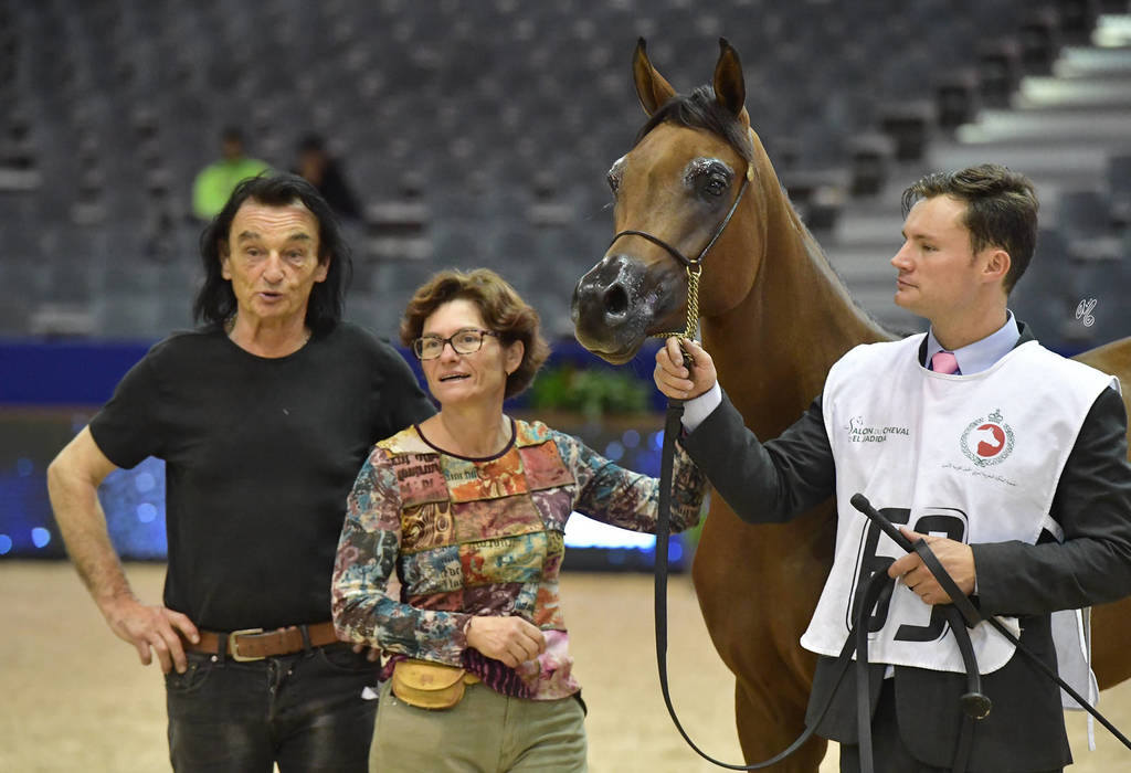 Yearling Colt Silver Champion: Lazeez Al Shahania (EKS Alihandro X ZT Makbey)  