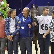 Yearling Colt Bronze Champion: Kanz Gam (Kanz Al Bidayer X Samya Gam)   