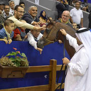 Yearling Filly Gold Champion: Hadba Al Shaqab (Marwan Al Shaqab X OFW Mishaahl)   