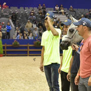 Yearling Filly Silver Champion: Soultana De Dream (Kanz Albidayer X MZ OA Sham Sabbah) 