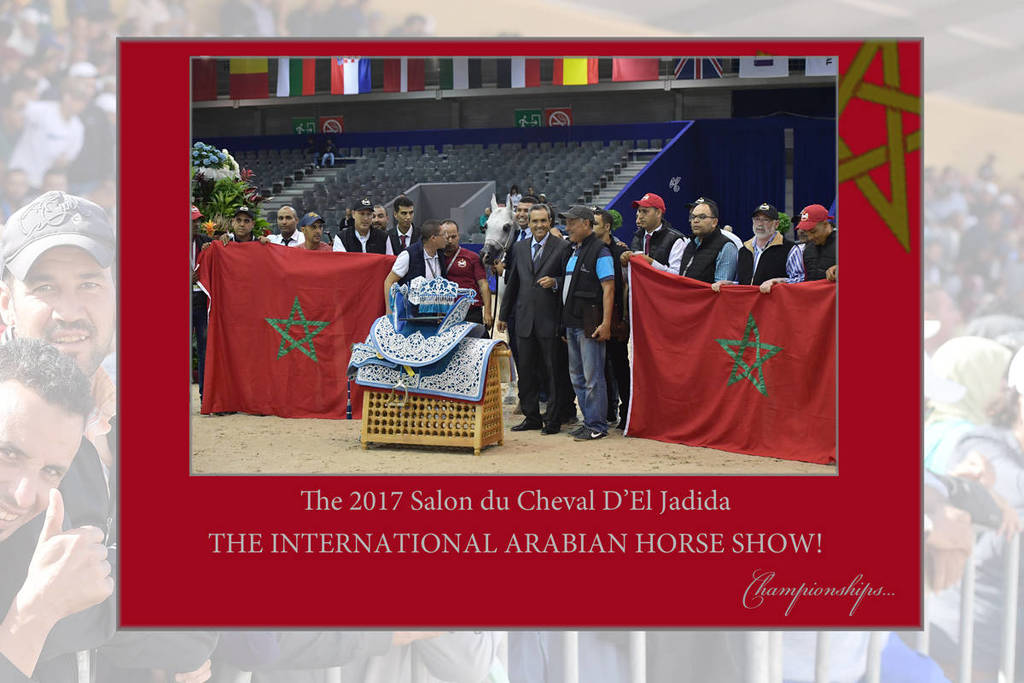 Lisa Abraham: The 2017 Salon du Cheval D'El Jadida: International Arabian Horse Show