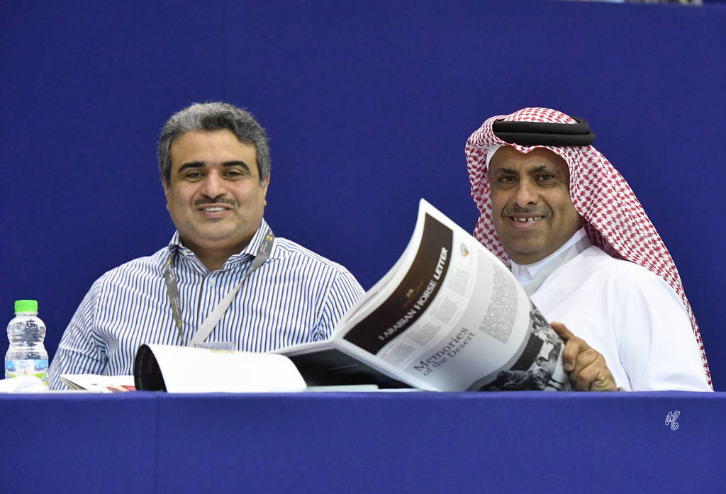 Lisa Abraham: The 2017 Salon du Cheval D'El Jadida: International Arabian Horse Show