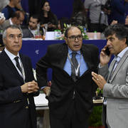 Lisa Abraham: The 2017 Salon du Cheval D'El Jadida: International Arabian Horse Show