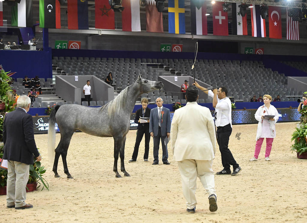 Fillies 3 Years: Madheena Selman 