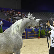 Fillies 3 Years: Firdaous L Azri 