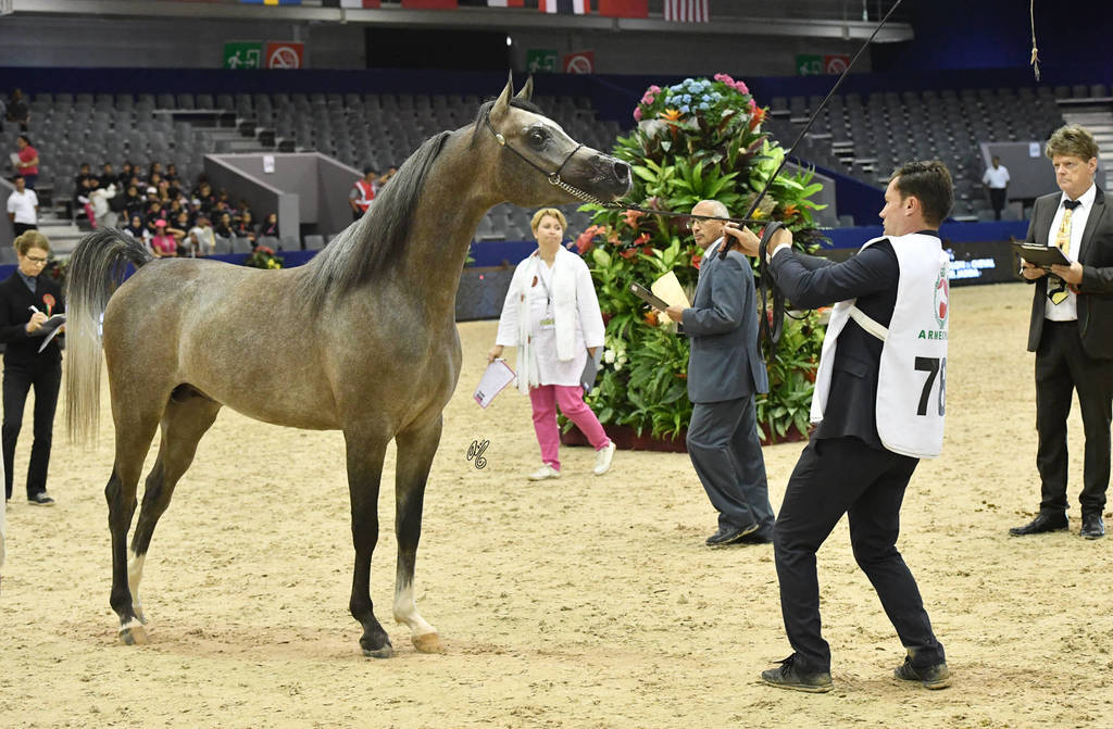 Colts 2 Years: Oziera Nadym 