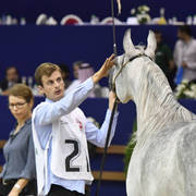 Fillies 2 Years: Marjana Menarastud 