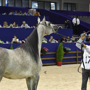 Fillies 2 Years: LB Kalifornia 