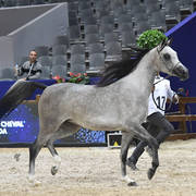 Fillies 2 Years: LB Kalifornia 