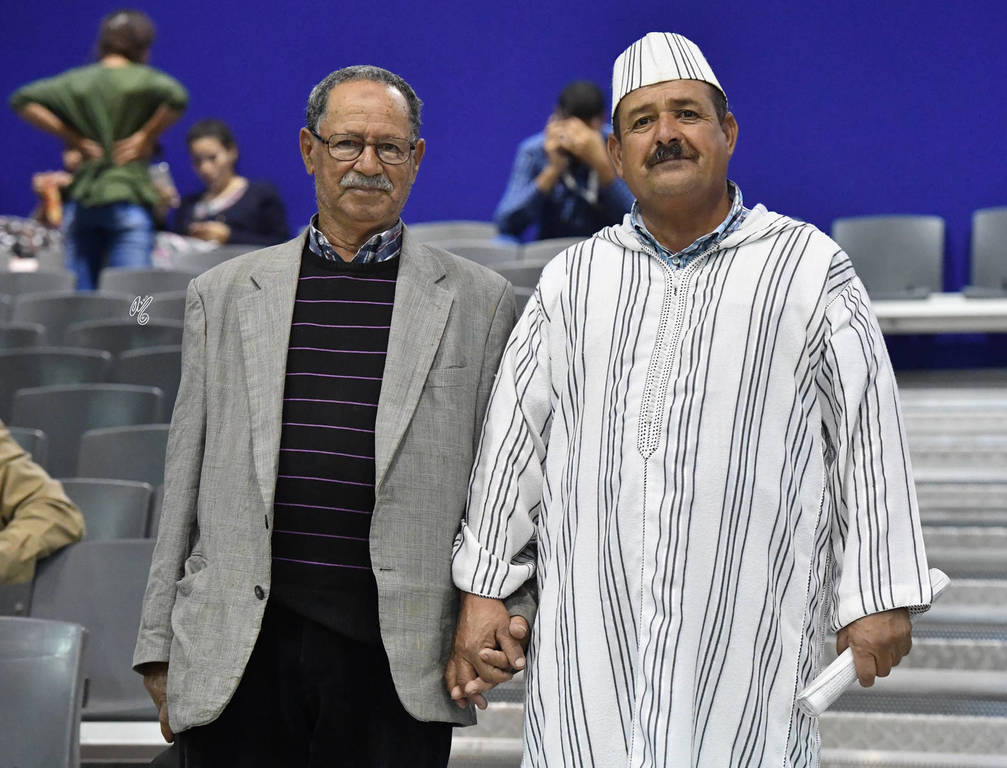 Lisa Abraham: The 2017 Salon du Cheval D'El Jadida: International Arabian Horse Show