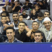 Lisa Abraham: The 2017 Salon du Cheval D'El Jadida: International Arabian Horse Show