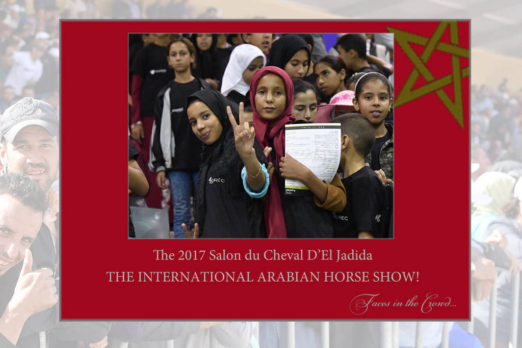 Lisa Abraham: The 2017 Salon du Cheval D'El Jadida: International Arabian Horse Show