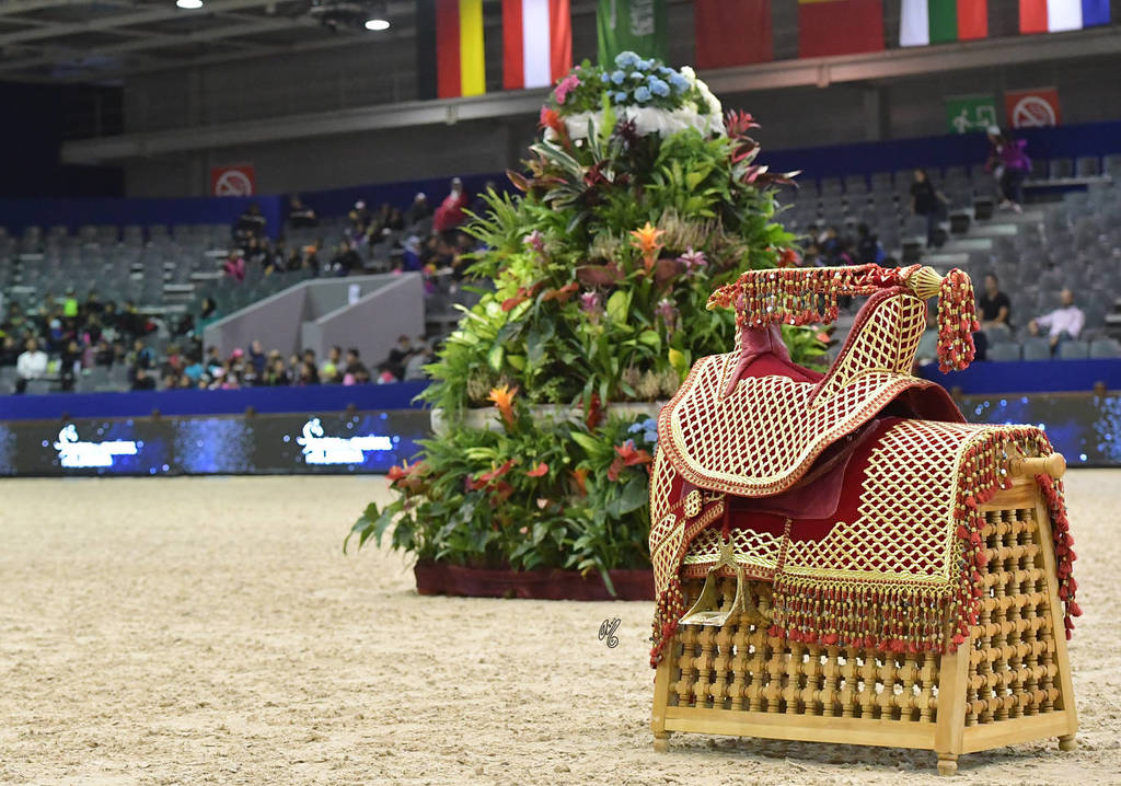 Lisa Abraham: The 2017 Salon du Cheval D'El Jadida: International Arabian Horse Show