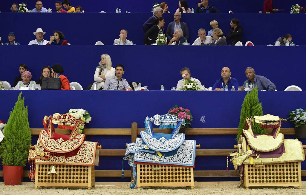 Lisa Abraham: The 2017 Salon du Cheval D'El Jadida: International Arabian Horse Show