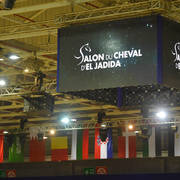 Lisa Abraham: The 2017 Salon du Cheval D'El Jadida: International Arabian Horse Show