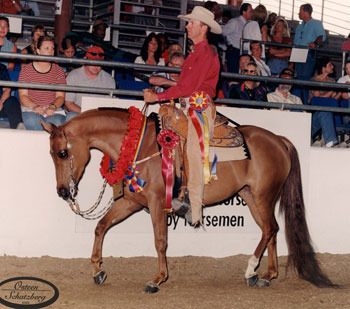 Culbreth Equine Training & Management