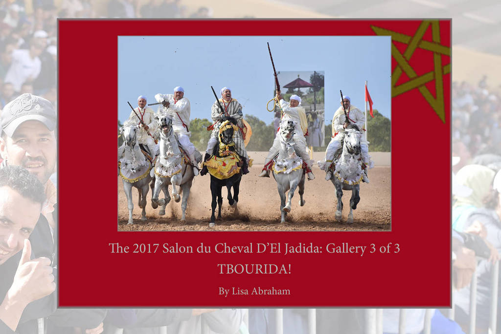 Lisa Abraham: The 2017 Salon du Cheval D'El Jadida: Tbourida!