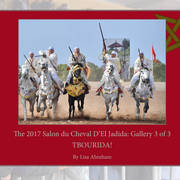 Lisa Abraham: The 2017 Salon du Cheval D'El Jadida: Tbourida!
