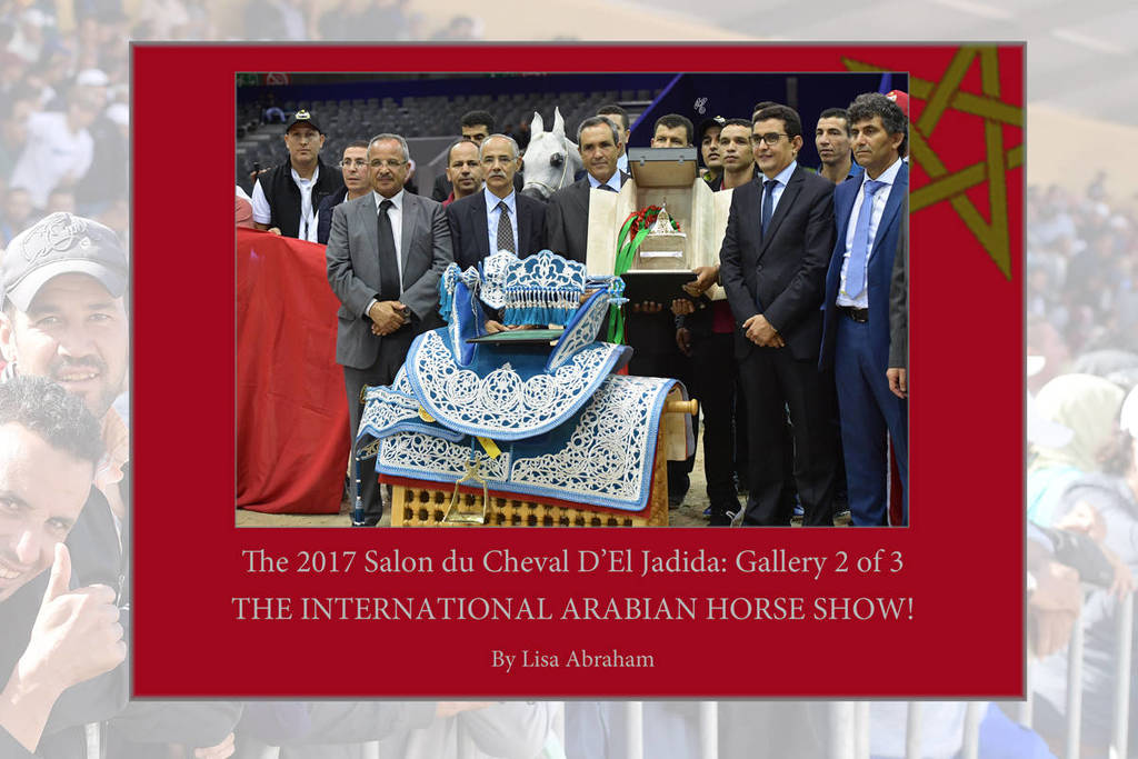 Lisa Abraham: The 2017 Salon du Cheval D'El Jadida: International Arabian Horse Show