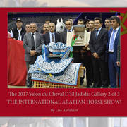 Lisa Abraham: The 2017 Salon du Cheval D'El Jadida: International Arabian Horse Show
