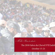 Lisa Abraham: The 2017 Salon du Cheval D'El Jadida: Tbourida!