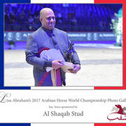 Lisa Abraham: The 2017 Arabian Horse World Championship Photo Album