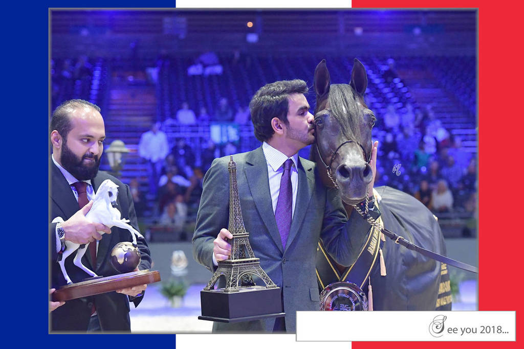 Lisa Abraham: The 2017 Arabian Horse World Championship Photo Album