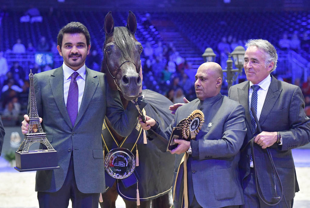 Lisa Abraham: The 2017 Arabian Horse World Championship Photo Album