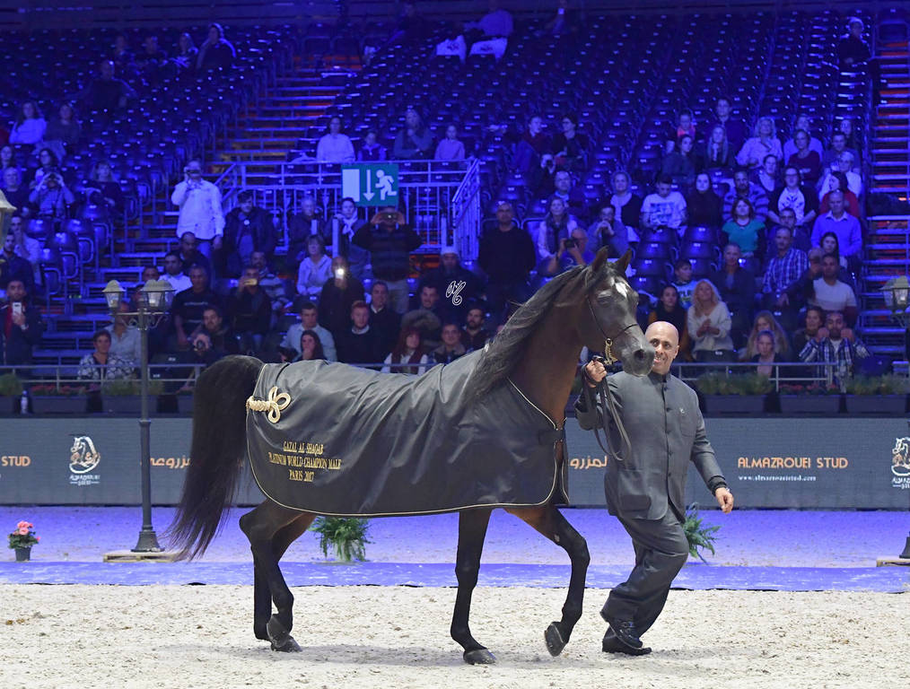 Lisa Abraham: The 2017 Arabian Horse World Championship Photo Album