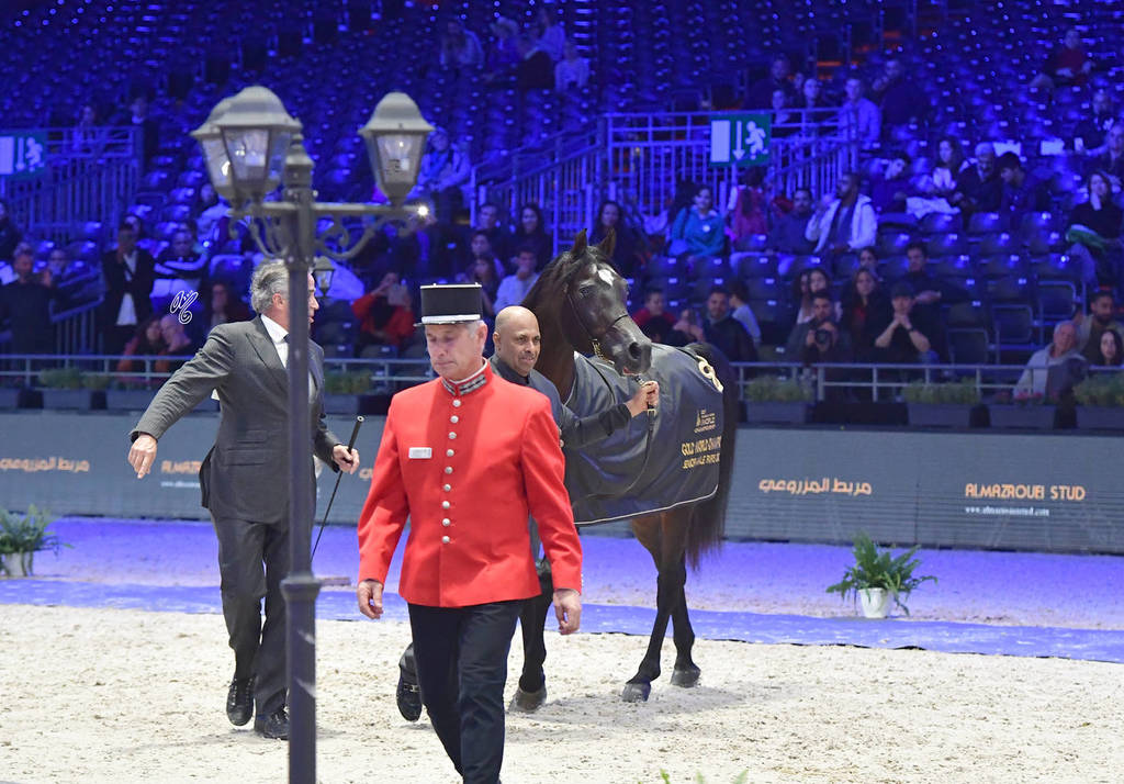 Lisa Abraham: The 2017 Arabian Horse World Championship Photo Album