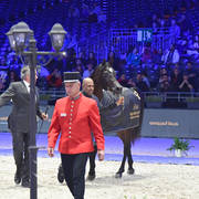 Lisa Abraham: The 2017 Arabian Horse World Championship Photo Album