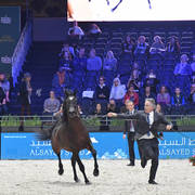 Lisa Abraham: The 2017 Arabian Horse World Championship Photo Album