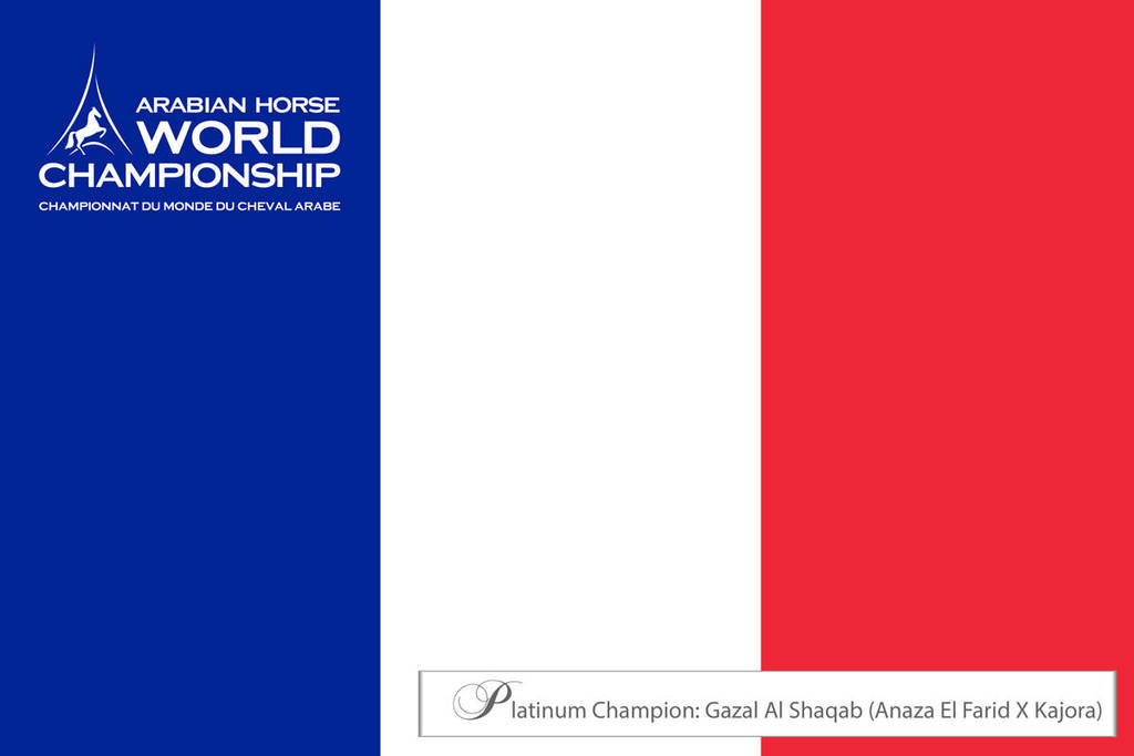 Lisa Abraham: The 2017 Arabian Horse World Championship Photo Album