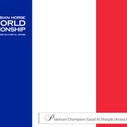 Lisa Abraham: The 2017 Arabian Horse World Championship Photo Album